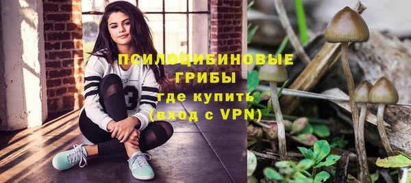 бутират Нязепетровск