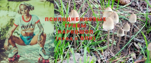 mdpv Няндома