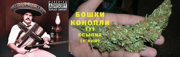 mdpv Няндома