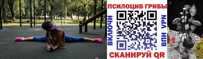 Купить где Лиски Псилоцибиновые грибы мицелий